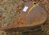 18 W bucket 3 rock teeth Pinney Excavation 583 PR 2164 Skiatook, OK 74070 ...