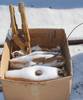 6 bolt on tooth adapters Fits Caterpillar 963 track loader Shipping quotes available Atchison Coun...