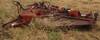 Rhino 15 batwing mower 1000 PTO Hydraulic fold Neosho Valley Feeders, LLC 26059 Victory Rd Parsons, ...