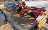 Agco New Idea 5409 disc mower 9 5 W Hydraulic lift 540 PTO PTO shaft not included 7 discs Cutter ba...