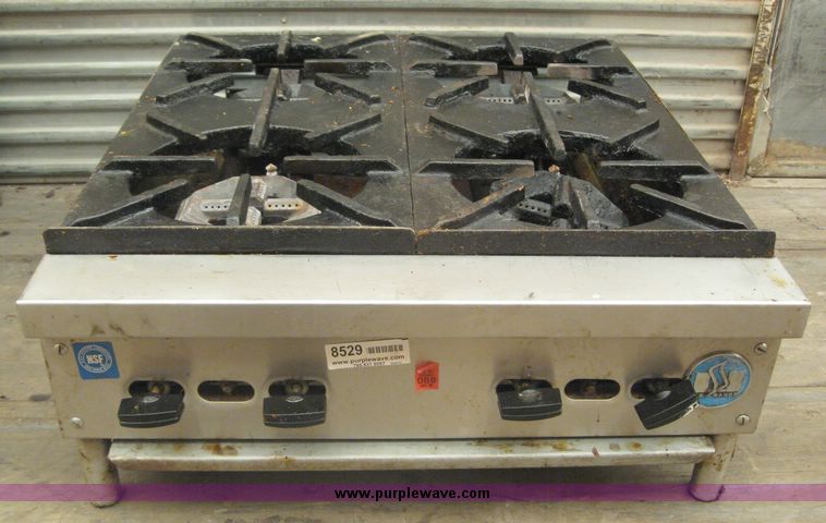 image for item 8529 