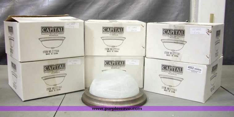 image for item 4002 