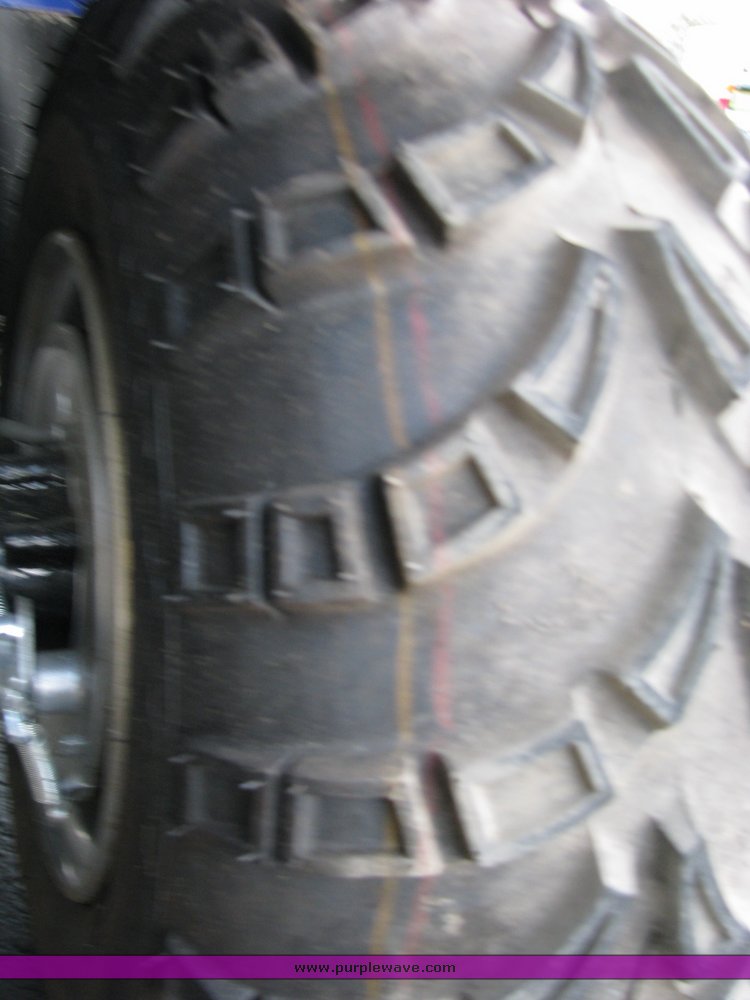 image for item 4699 