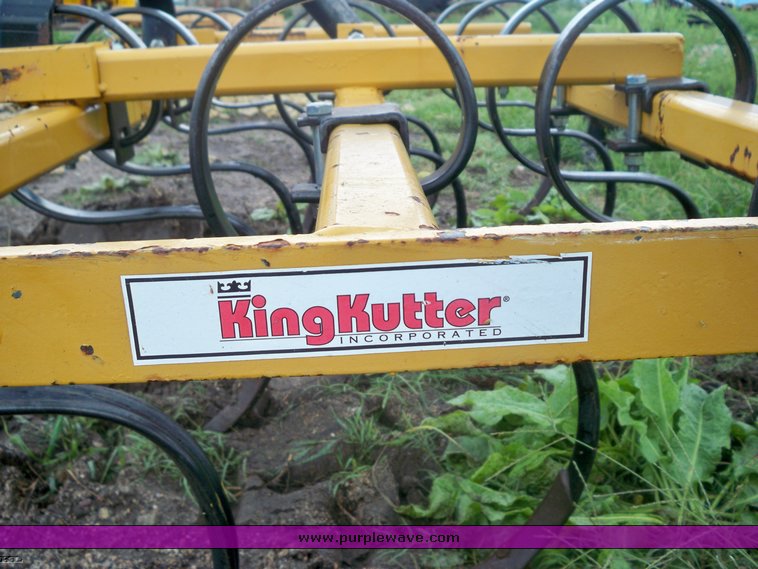 image for item 5729 King Kutter 6' spring tooth