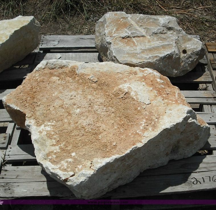 Limestone boulder in New Braunfels, TX Item 2176 sold Purple Wave