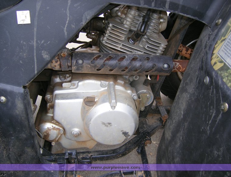 2004 Baja Wilderness 250 ATV in Manhattan, KS Item 6498 sold Purple