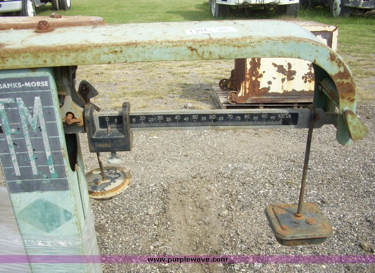 image for item 7307 (2) Scales