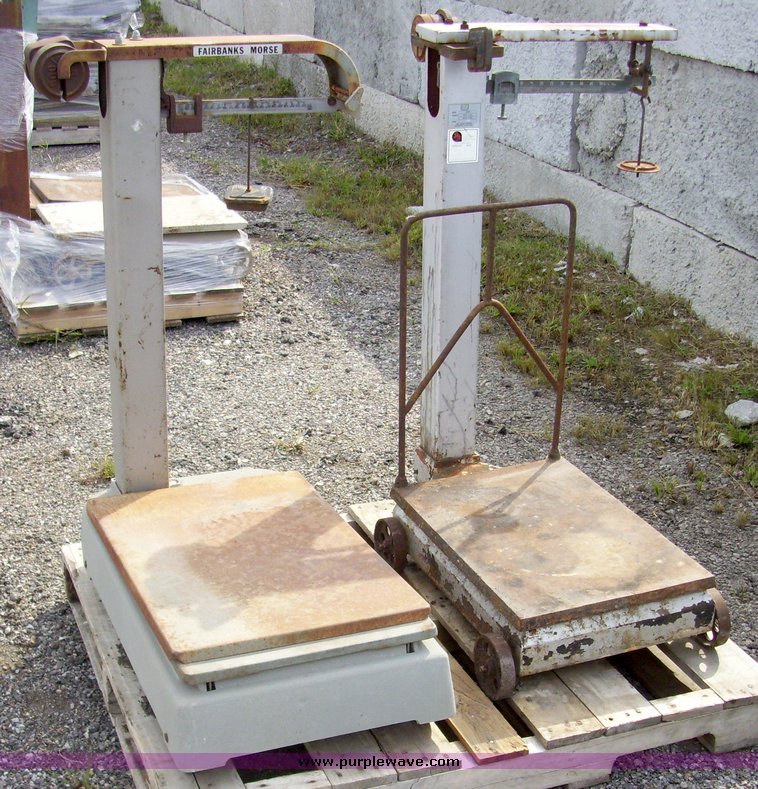 image for item 7308 (2) scales