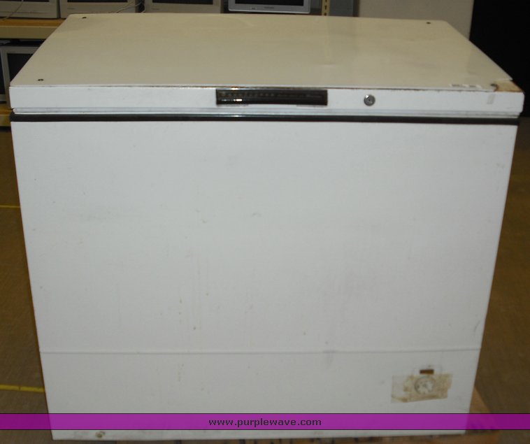 Amana deep freeze in Des Moines, IA Item 3887 sold Purple Wave