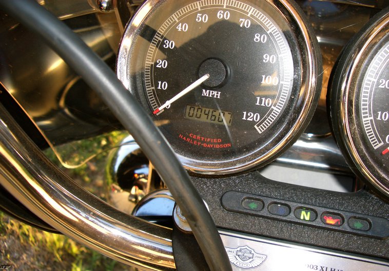 image for item 1500 2003 Harley Davidson XLH1200 sportster anniversary edition motorcycle