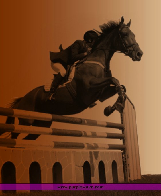 image for item 8842 Horseback riding lessons