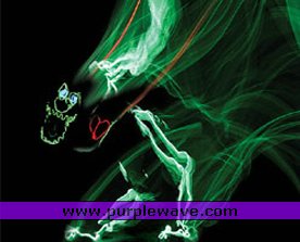 image for item 8864 (2) Theater tickets to McCain Auditoriums performance of Darwin the Dinosaur