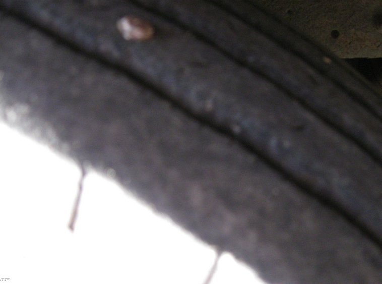 image for item 6525 2000 Thomas 65 passenger school bus