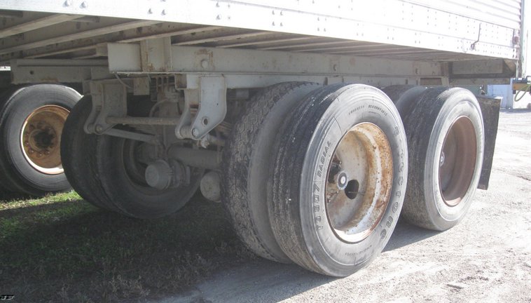 image for item 6526 1976 Great Dane