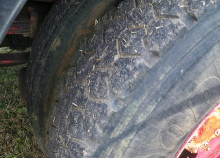 image for item 5183 1988 International S1955