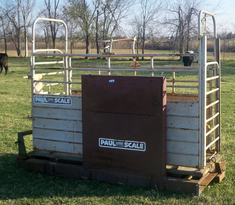 image for item 5185 Paul livestock scales