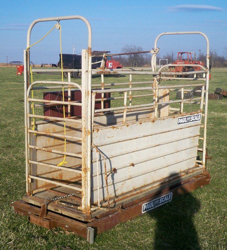 image for item 5185 Paul livestock scales
