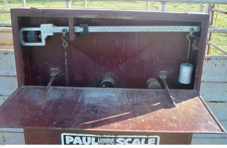 image for item 5185 Paul livestock scales