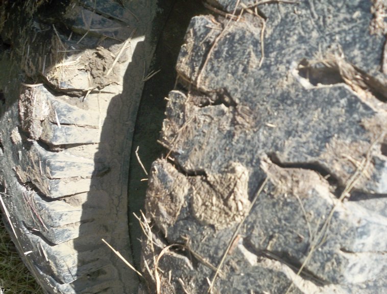 image for item 5199 1983 Chevrolet C6000 truck