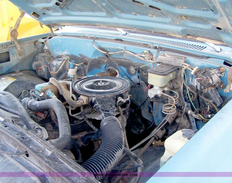 image for item 8432 1981 Chevrolet C10