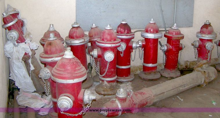 image for item 8439 (11) fire hydrants