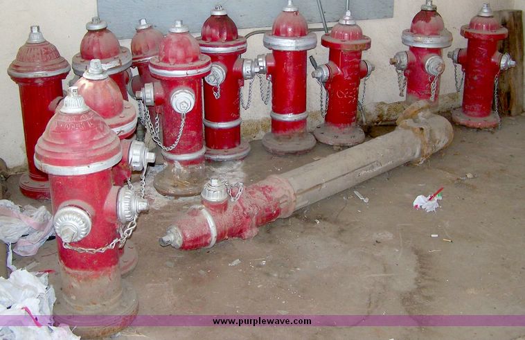 image for item 8439 (11) fire hydrants