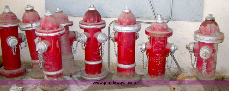 image for item 8439 (11) fire hydrants