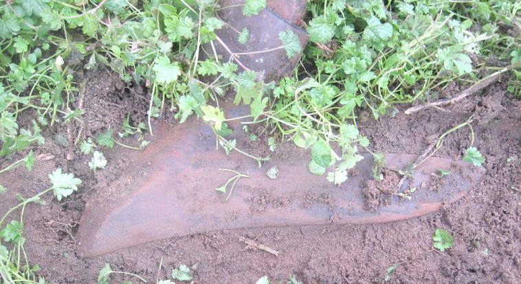 image for item 3799 Krause 3124 field cultivator with front trash disc and pickers