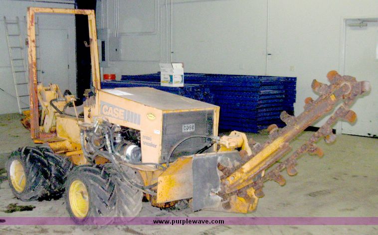 image for item 3748 Case Maxi Sneaker