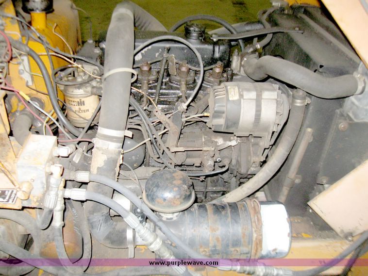 image for item 3748 Case Maxi Sneaker