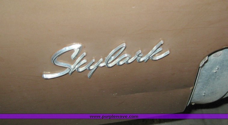 image for item 8202 1975 Buick Skylark