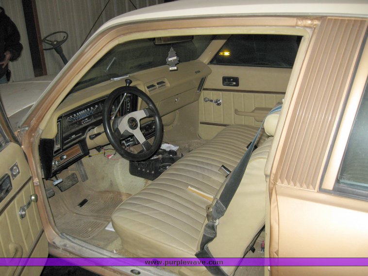 image for item 8202 1975 Buick Skylark