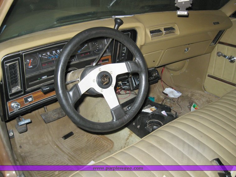 image for item 8202 1975 Buick Skylark