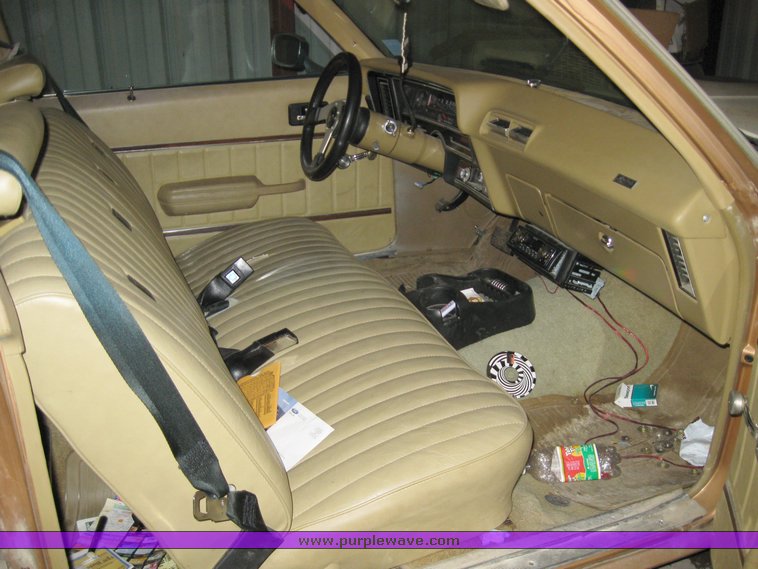 image for item 8202 1975 Buick Skylark