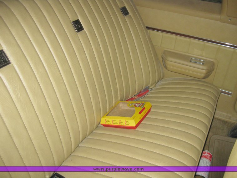 image for item 8202 1975 Buick Skylark