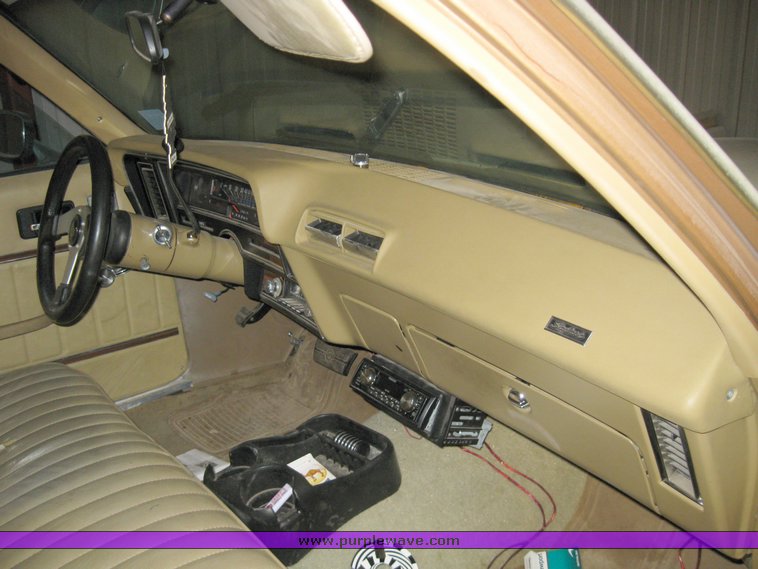 image for item 8202 1975 Buick Skylark