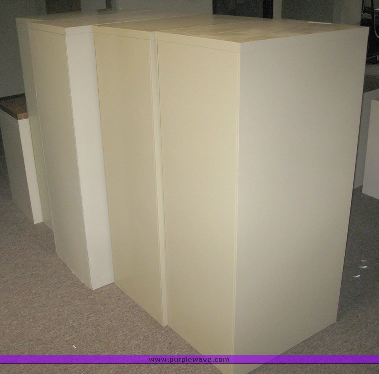 image for item 8053 (8) assorted file cabinets
