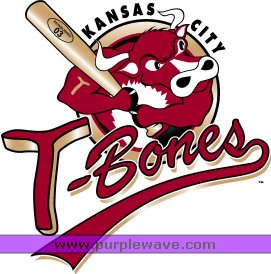 image for item 1004 (4) general admission tickets for an 2010 M-W regular season home game