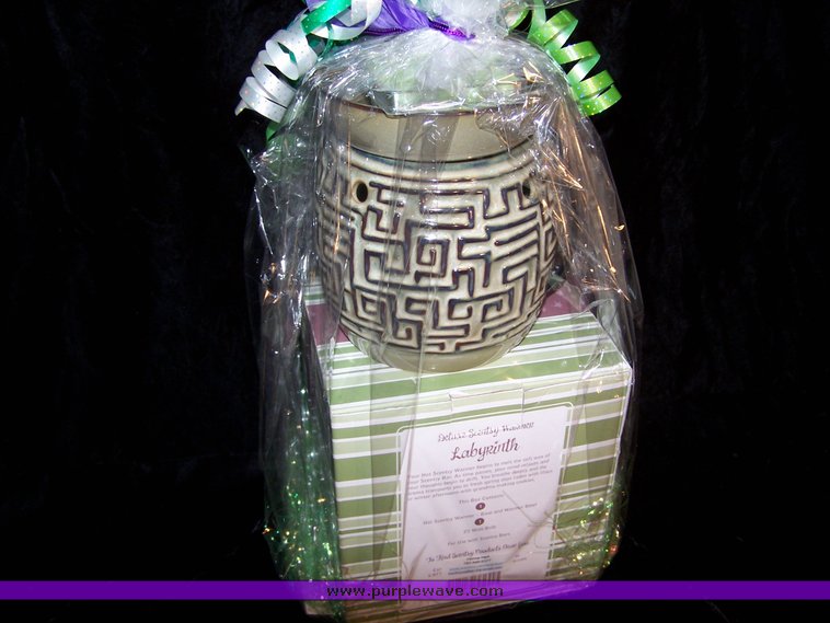 image for item 1022 Scentsy Labyrinth full-size warmer and wax