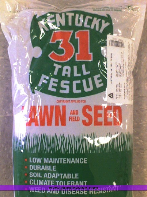image for item 1084 50lb bag of K-31 Fescue seed