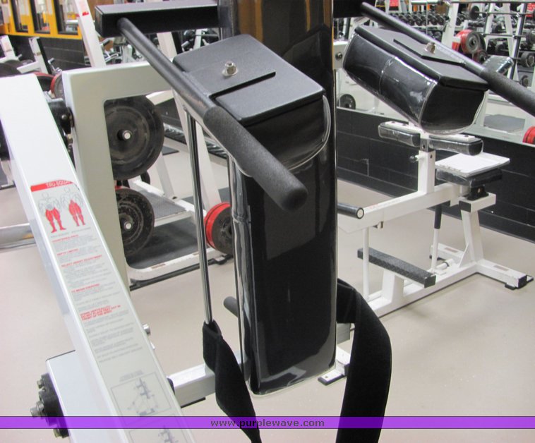 image for item 3482 Southern Exercise True squat machine
