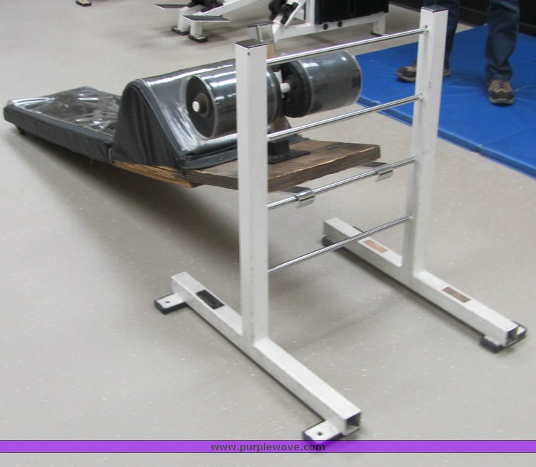 image for item 3491 Magnum bent knee incline sit up machine