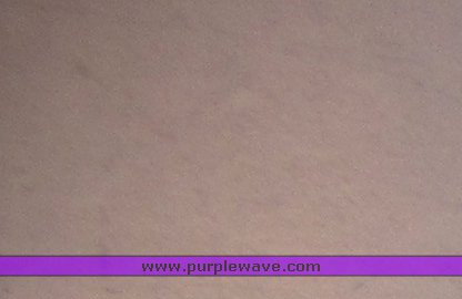 image for item 3042 1999 Wabash refrigerated trailer