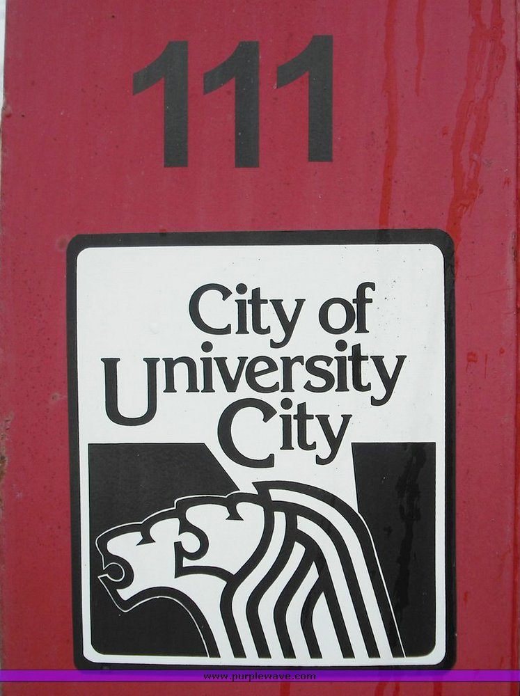 image for item 3262 Giant Vac TM6500-HW leaf vacuum