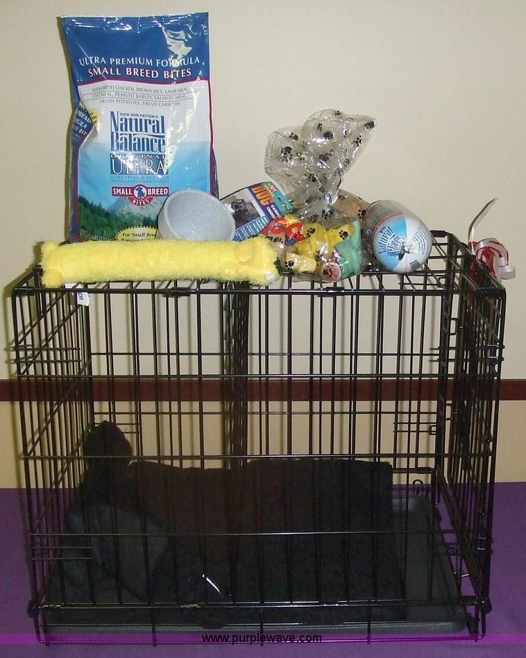 image for item 1203 Donated by Petco