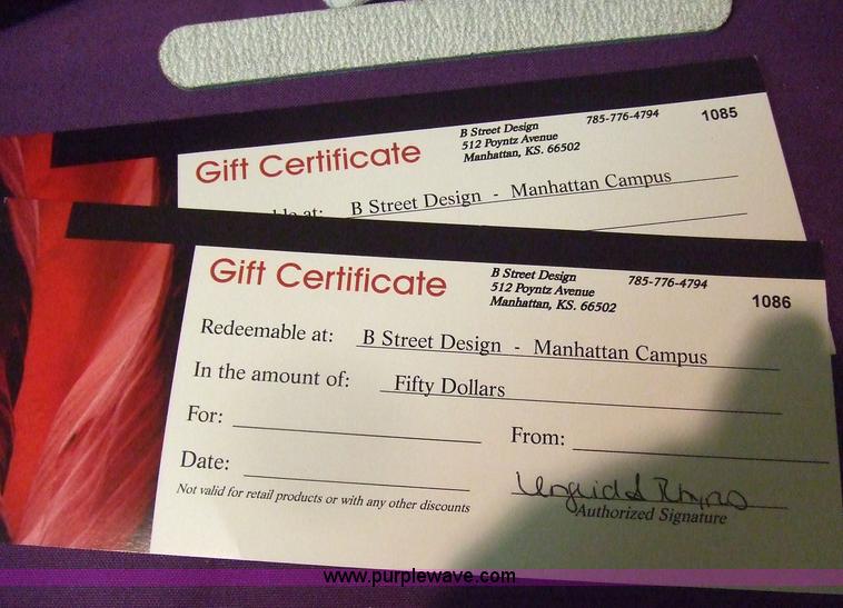 image for item 1211 "Its a 10 Day of Beauty"