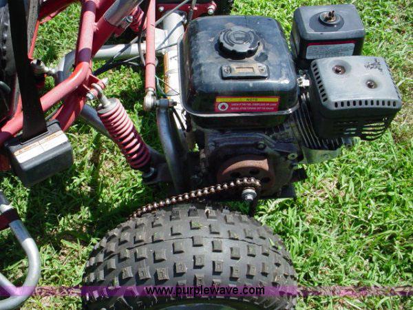 image for item 1002 (3) Baja TX65 go-karts