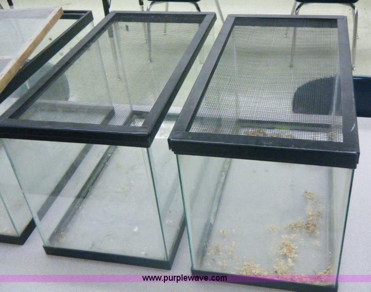 image for item 2019 (8) aquariums