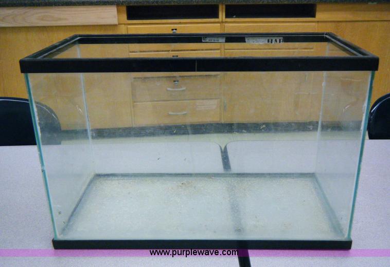 image for item 2019 (8) aquariums