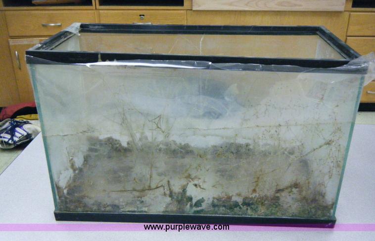 image for item 2019 (8) aquariums